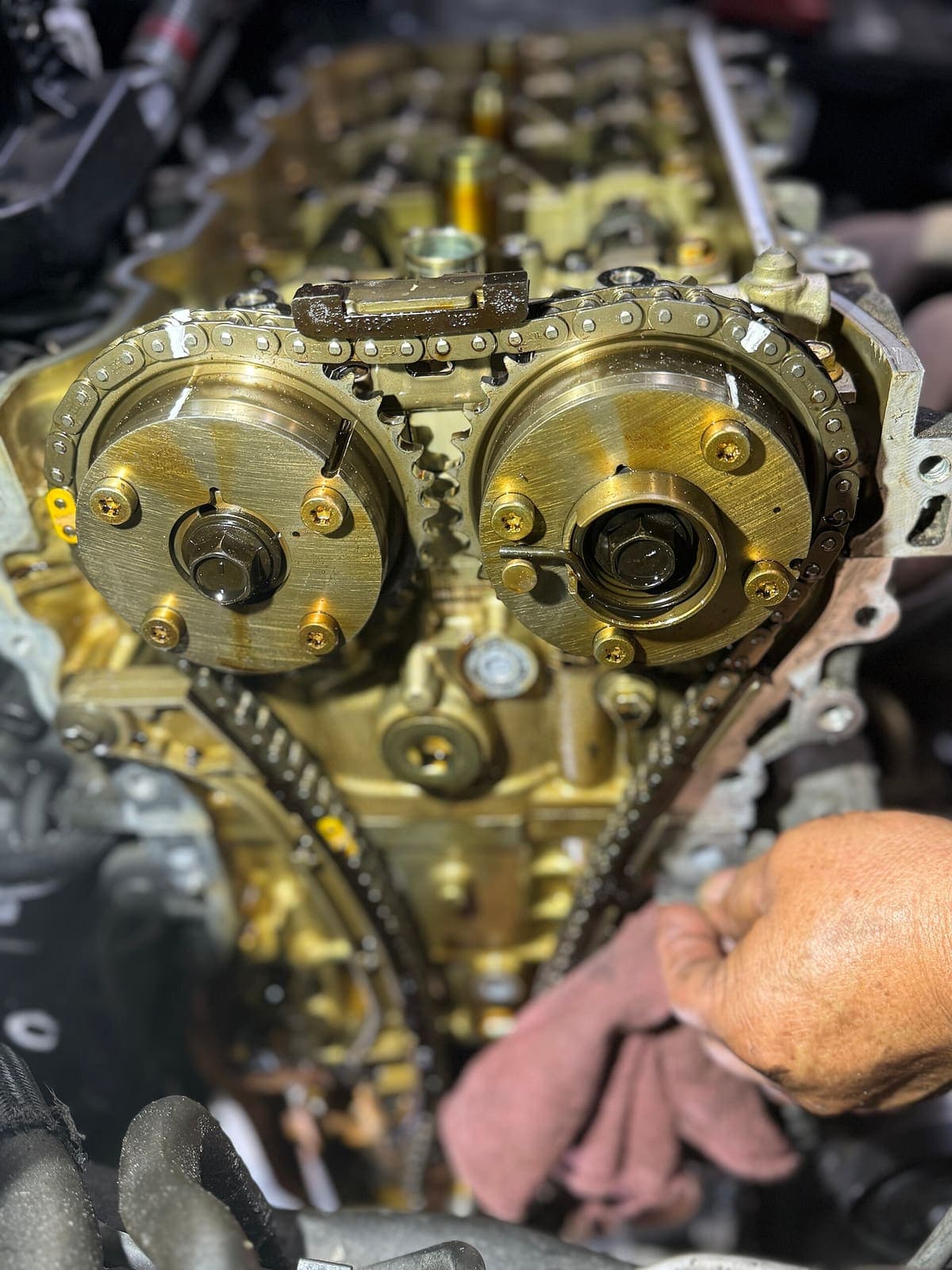 A roller timing chain removed from an engine, laid out to show its links and pins