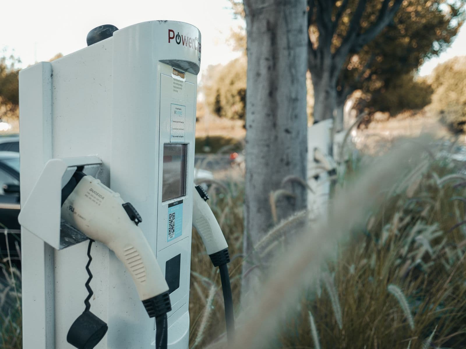 A white public charging post with its Type 2 connector holstered, standing beside a tree in an outdoor car park with more chargers behind it.