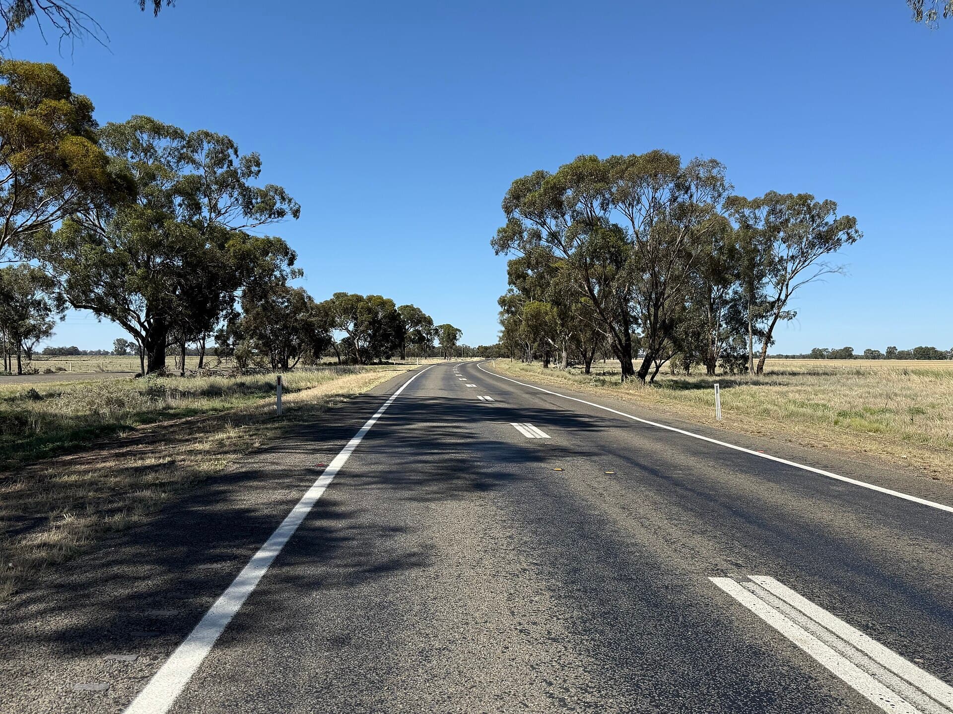 An empty two-lane country highway with white edge lines and a broken centre line, running between tall gum trees under a clear blue sky.