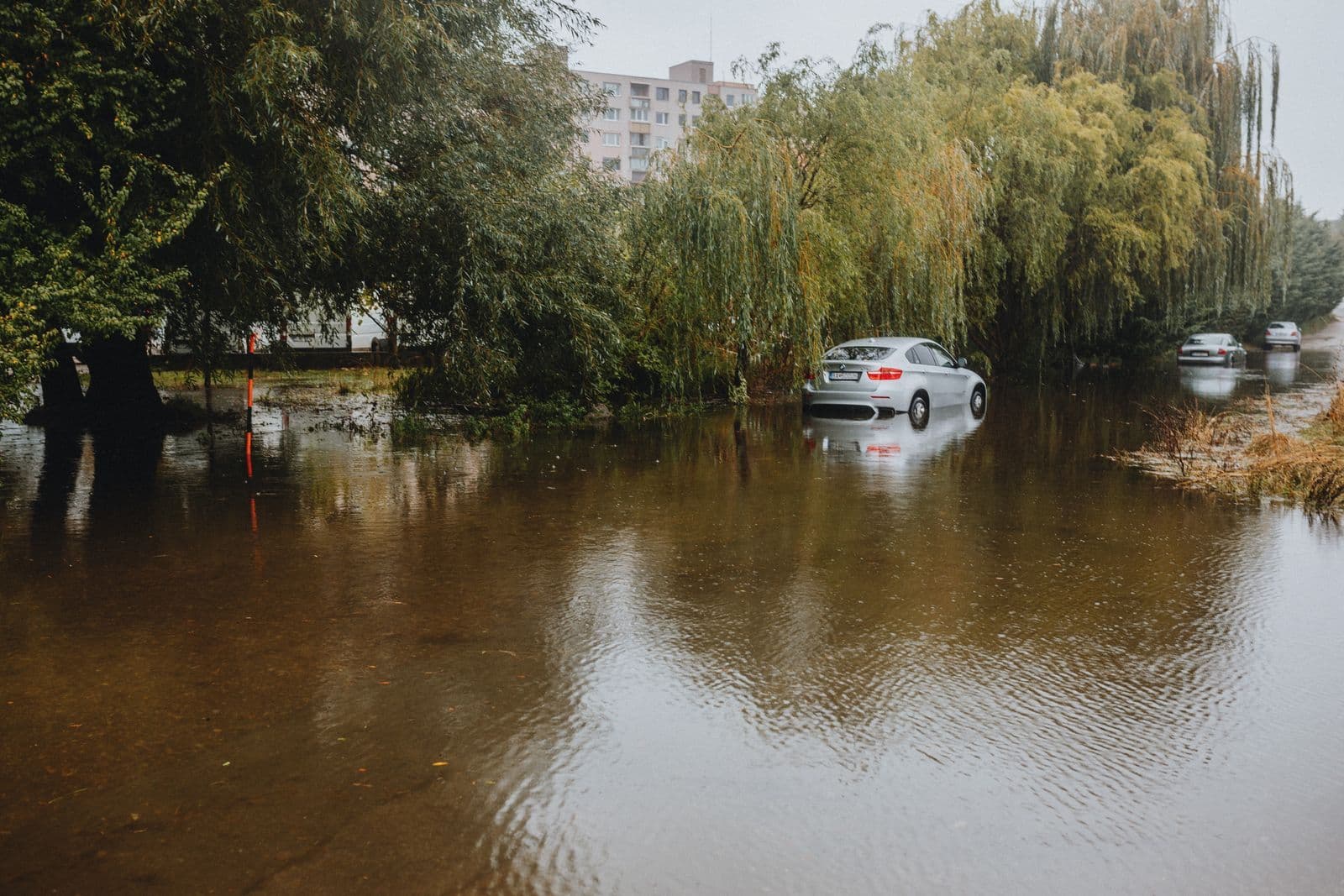 A silver sedan sitting half-submerged in brown floodwater under willow trees, with more stranded cars behind it.