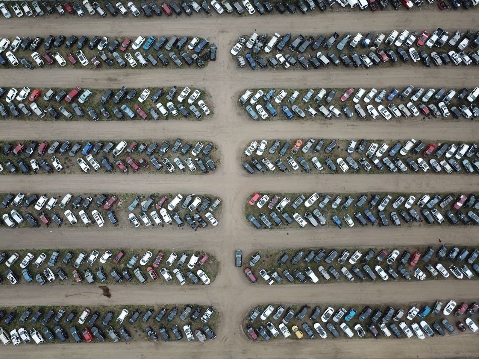 An aerial view of hundreds of cars packed into long parallel rows across a bare dirt holding yard.