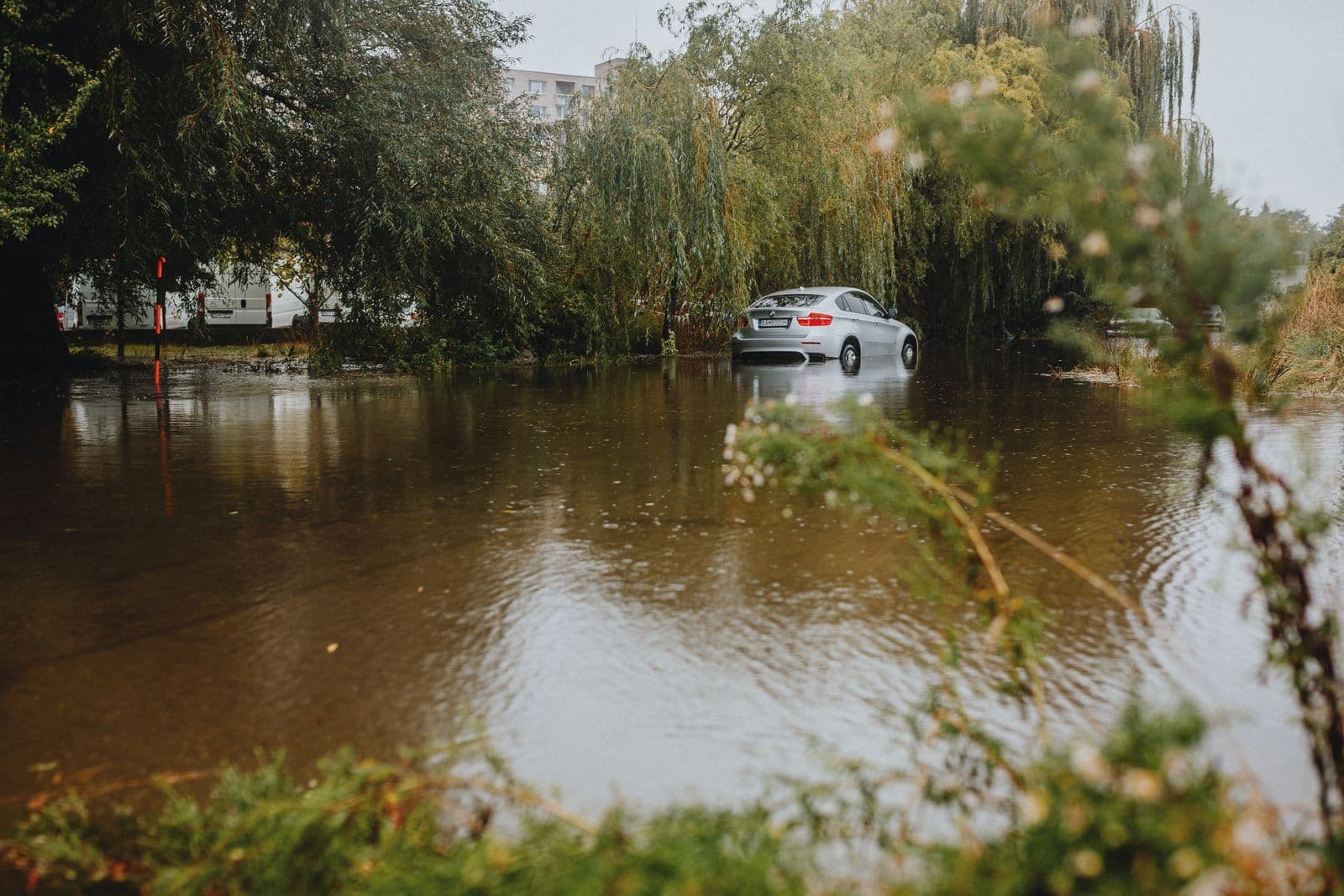 A silver SUV standing in brown floodwater that covers the road, surrounded by willow trees.