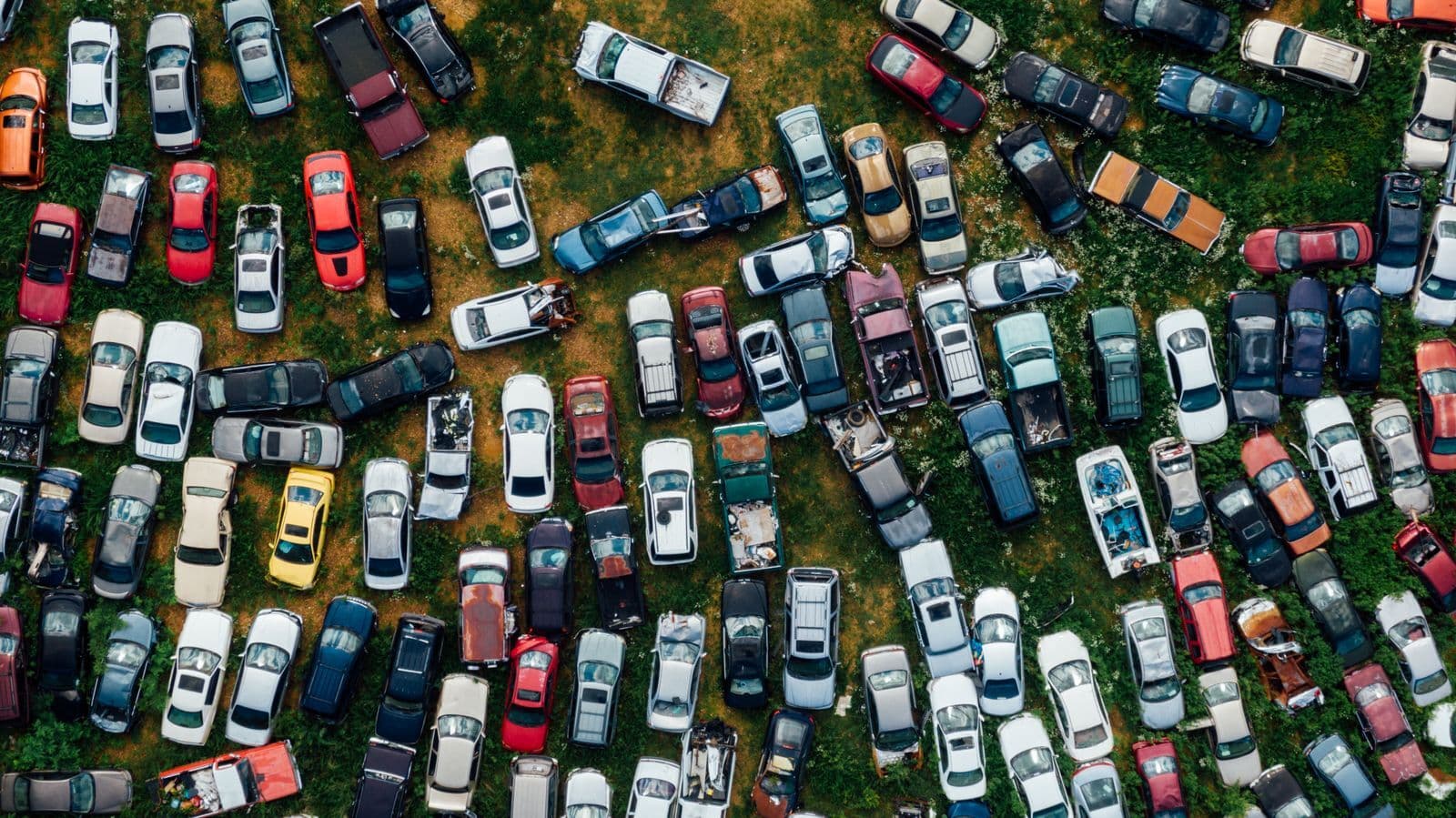 An aerial view of a grassy scrapyard packed with rows of old, abandoned cars.