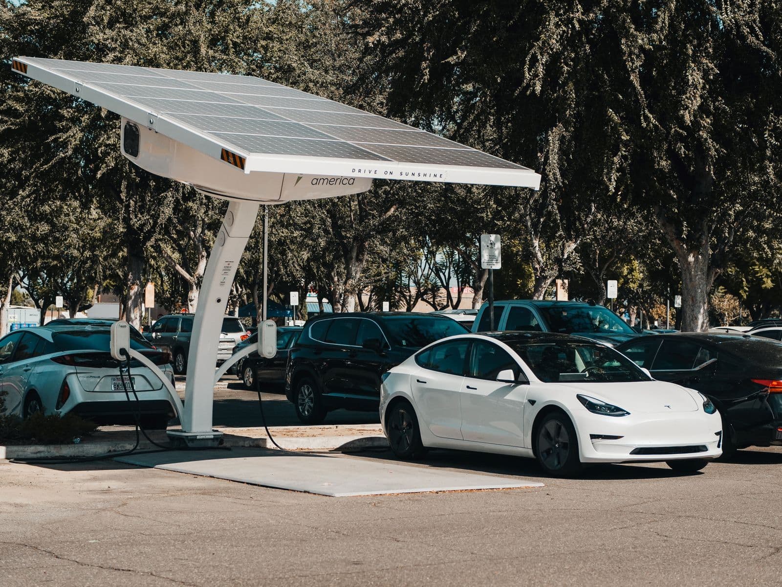 A white electric sedan and a hatchback plugged in at charging bays under a solar canopy in a tree-lined public car park.