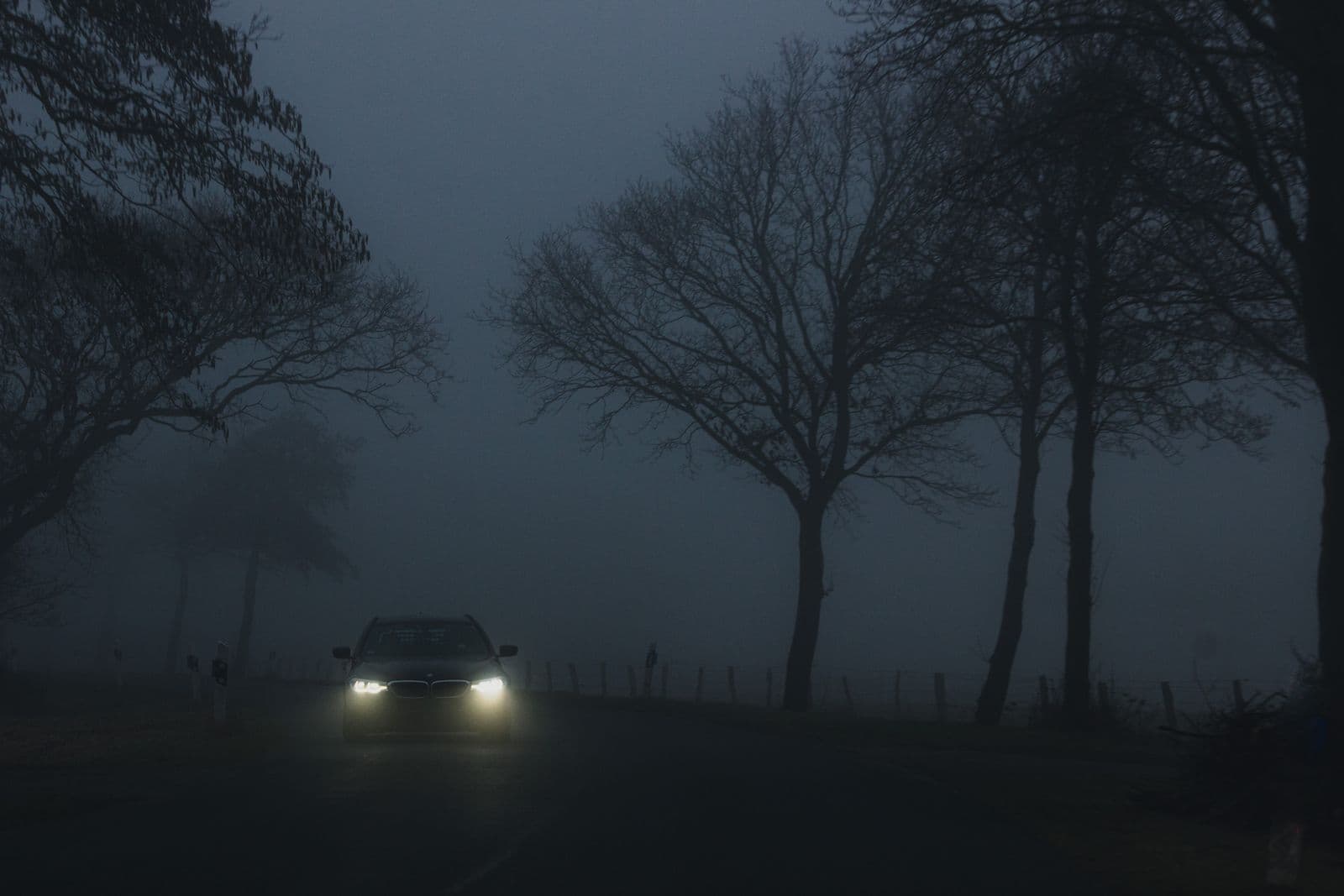 A car with its headlights on drives along a foggy country road at dusk, lined with bare trees and a wire fence.