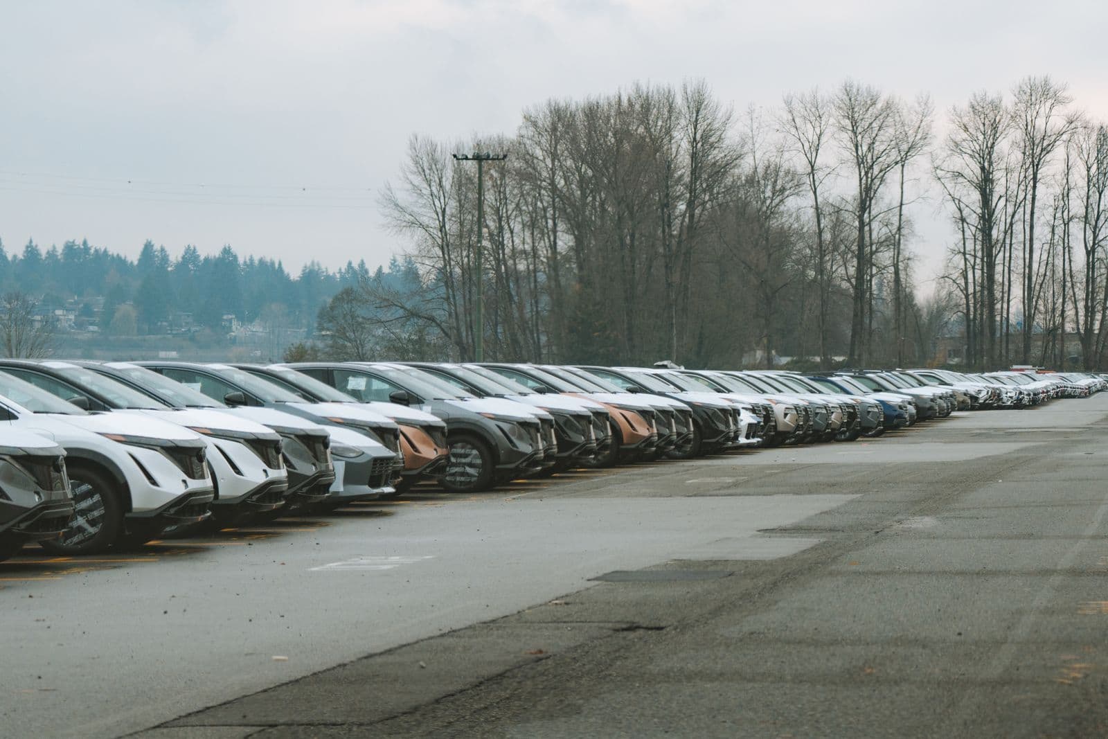 A long row of cars parked nose-out along the edge of a large lot on an overcast day, with bare trees behind.