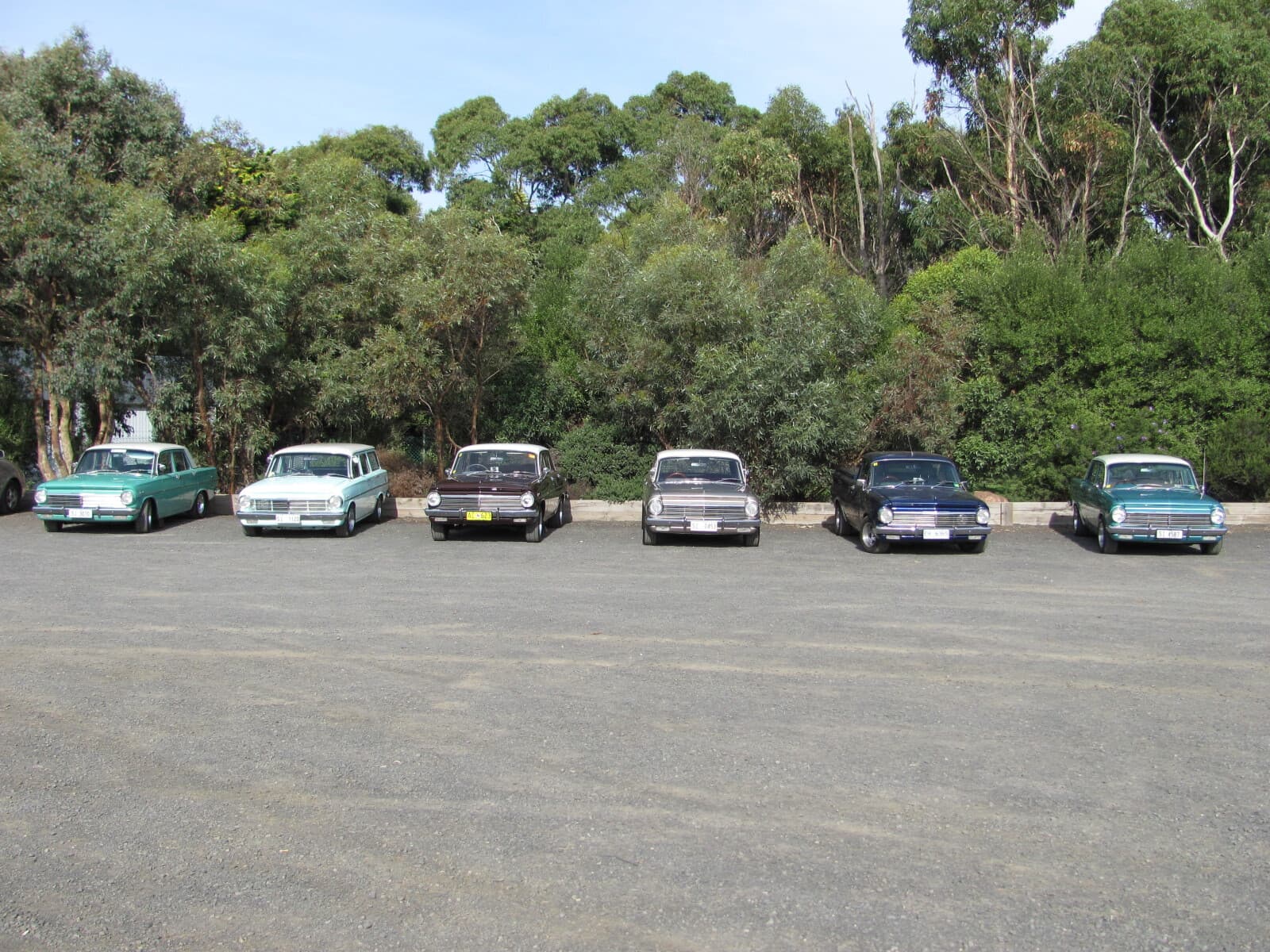 Six classic 1960s Holden sedans and a wagon parked in a row on a gravel car park with gum trees behind.