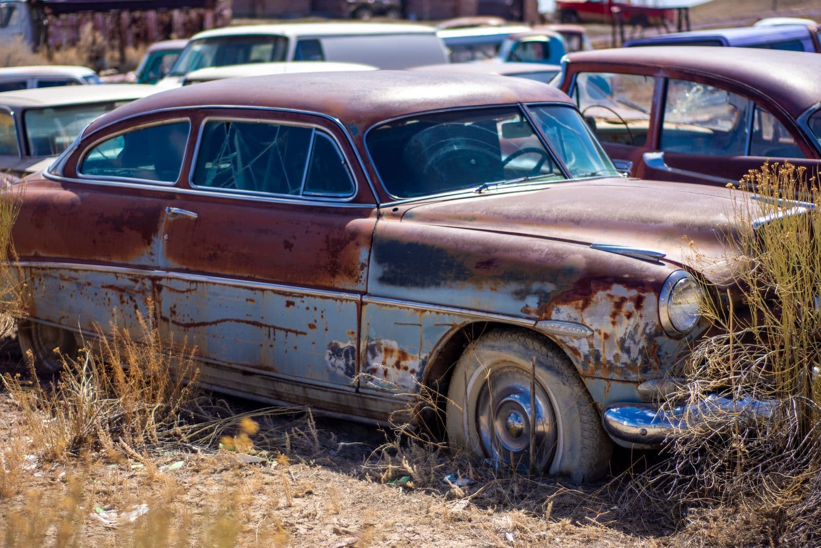 A heavily rusted 1950s sedan sitting in dry grass in a yard of other derelict cars.