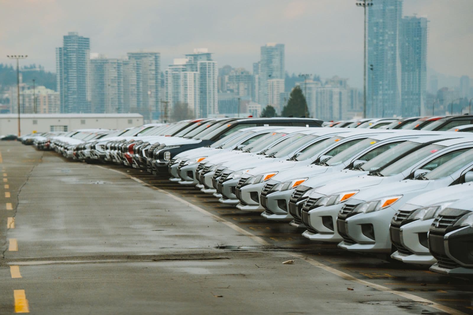 A long line of mostly white cars parked nose-out in a large sealed lot, with city high-rise towers in the haze behind them.