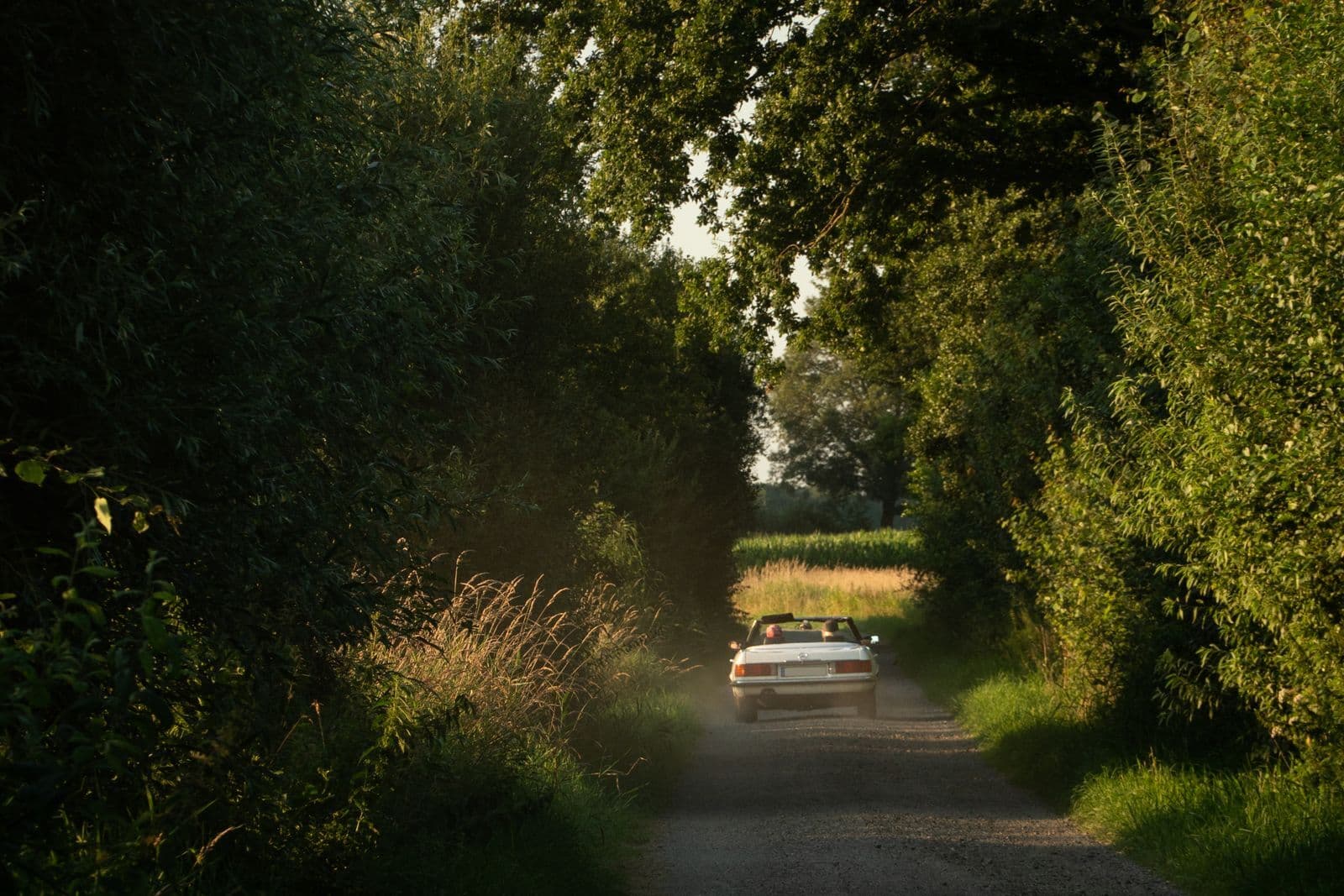 A white classic convertible driving away down a narrow tree-lined country lane in late-afternoon sun.
