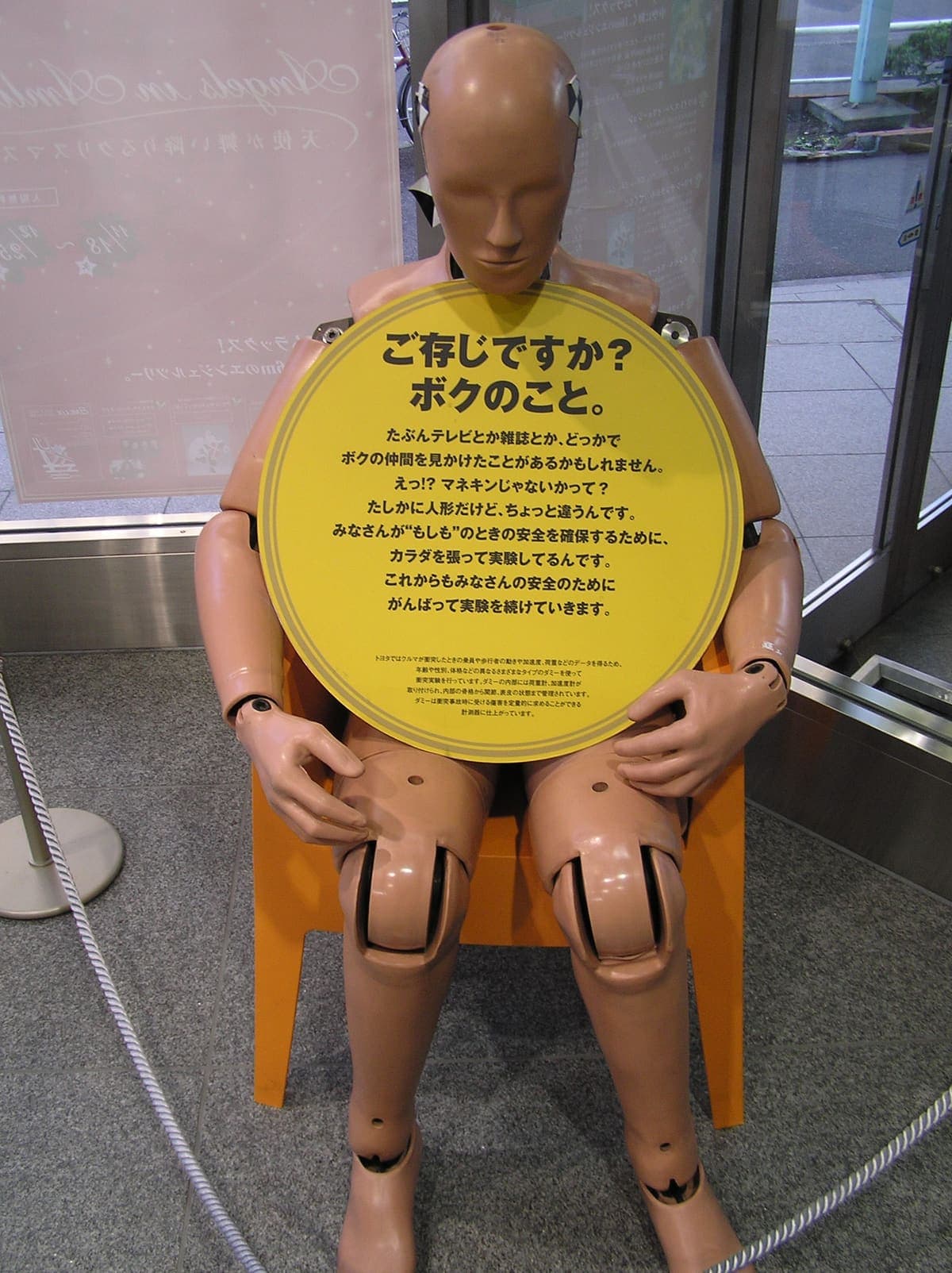 A crash test dummy sitting in a vehicle seat, restrained by a three-point seatbelt, with instrumentation cabling and reference markings on its head and torso.
