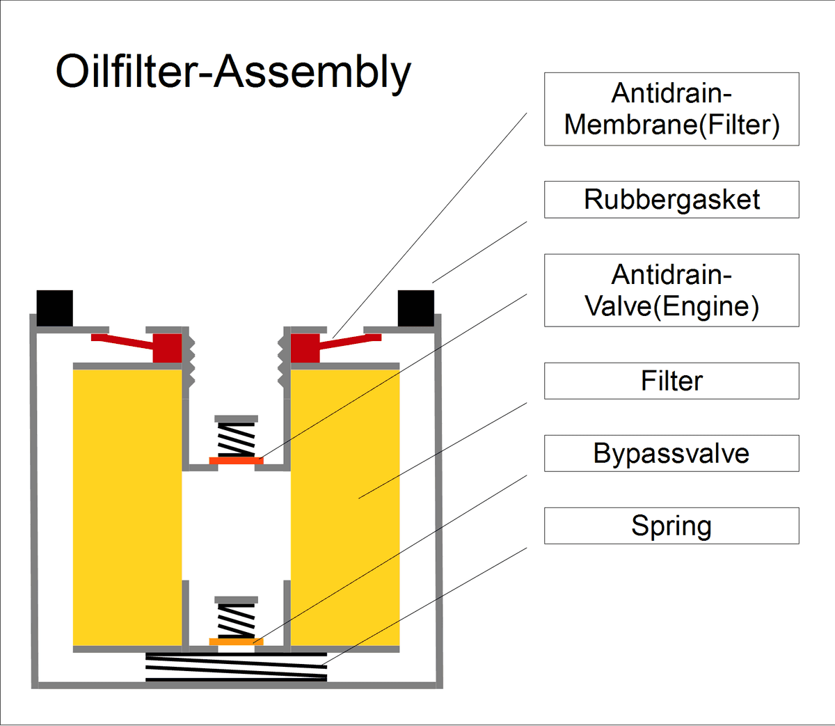 Cutaway of an automotive spin-on oil filter, showing the pleated paper filter media, the perforated central tube and the rubber anti-drainback valve inside the steel can.