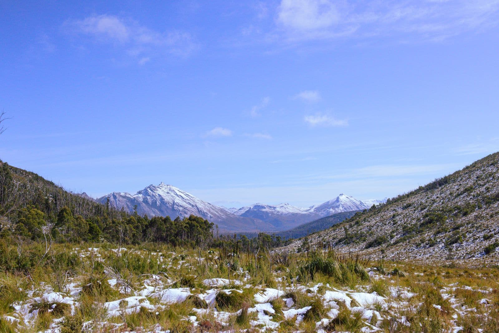 Snow-dusted button grass and scrub in the foreground of a valley leading to snow-capped peaks in south-west Tasmania.