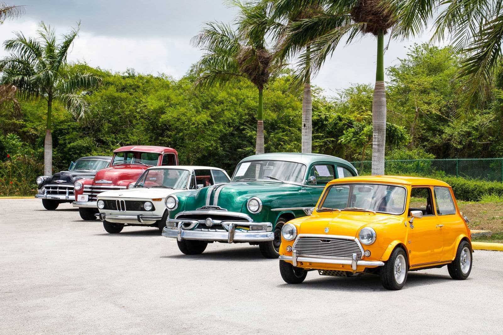 Five classic cars parked in a staggered row on a sunlit car park, led by a yellow Mini and a green coupe, with palm trees behind.
