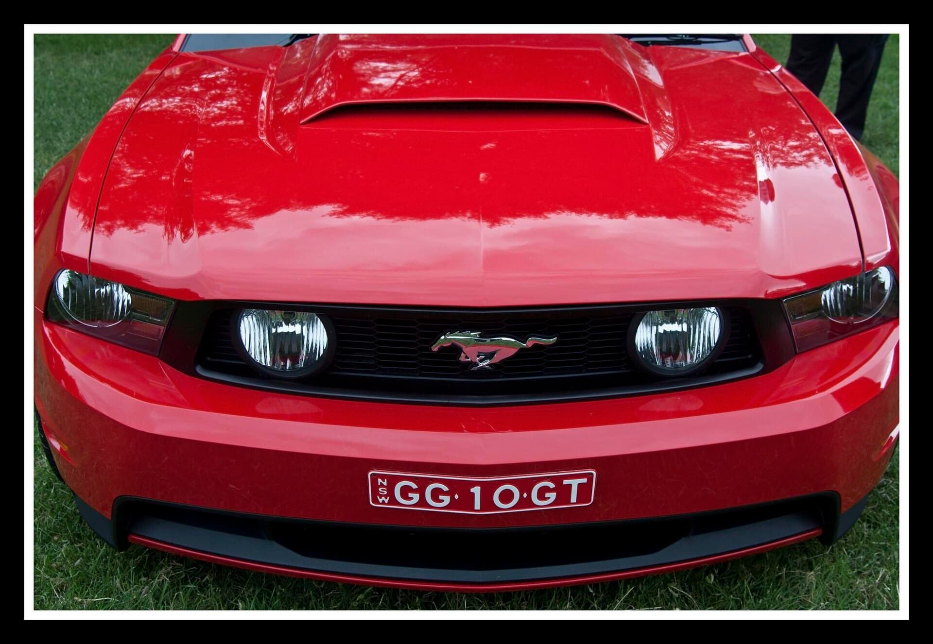 The bonnet and grille of a red Ford Mustang GT on the grass at a Mustang owners' meet in Canberra, wearing a New South Wales number plate
