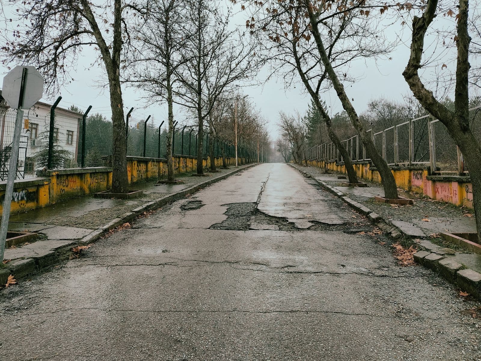A wet, tree-lined road with a wide patch of broken and crumbling asphalt across the middle of the lane.