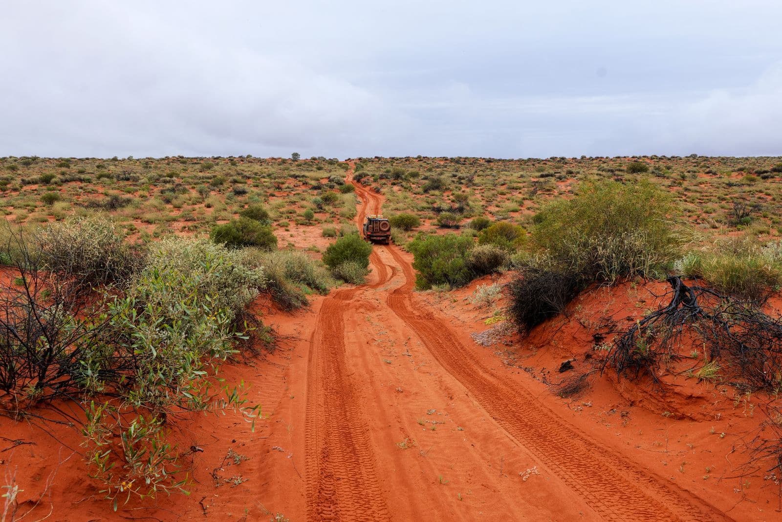 A four-wheel drive in the distance on a rutted red sand track winding through low outback scrub under a grey sky.