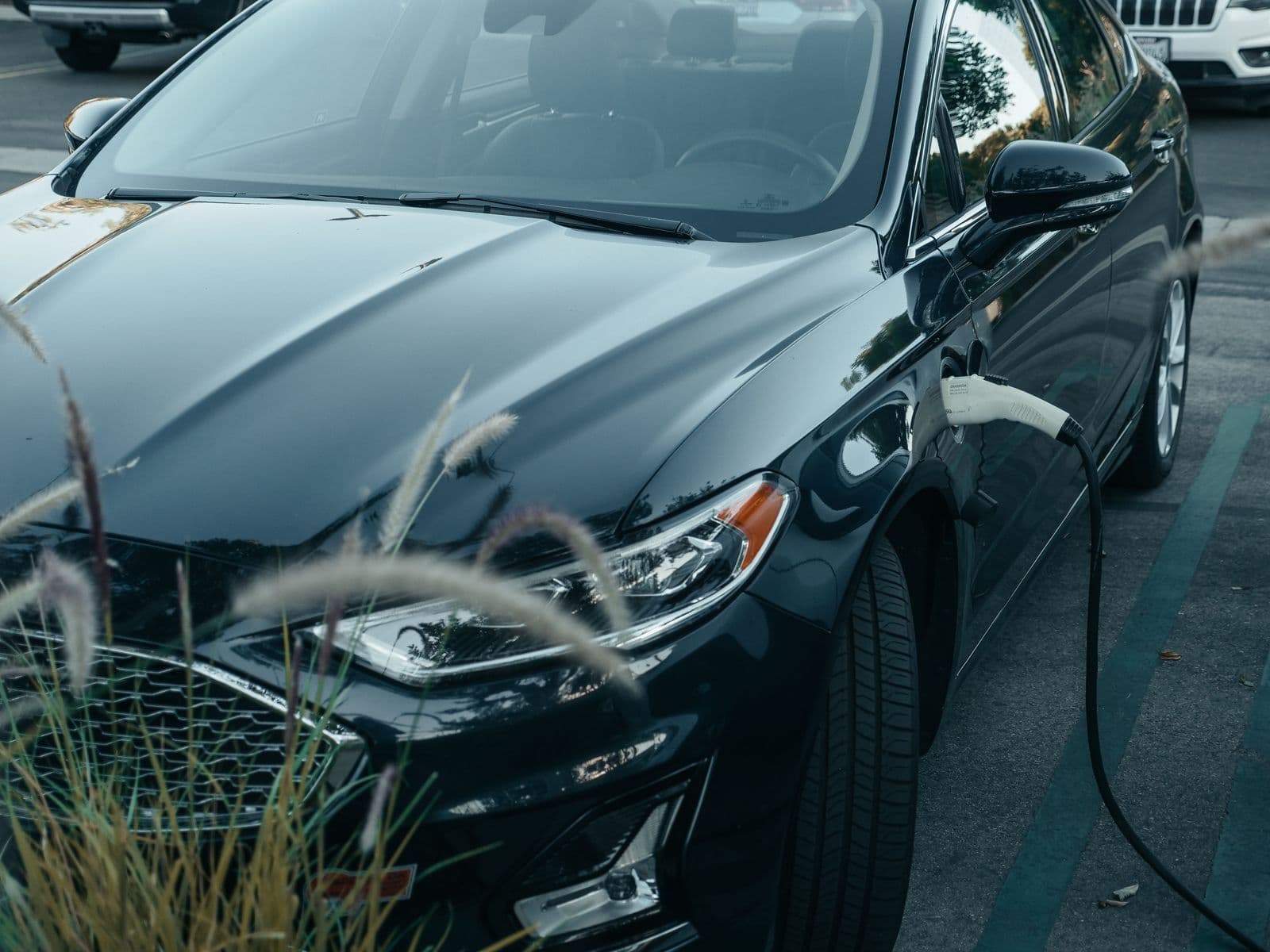 A black sedan in a parking bay with a charging cable plugged into the port on its front wing, behind tufts of ornamental grass.